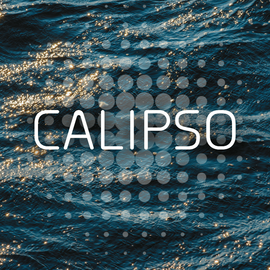Scopri Calipso, la nuova linea di persiane in alluminio Punto Persiane. 4 modelli, camera europea e spessore anta 45mm per prestazioni e posa perfette.