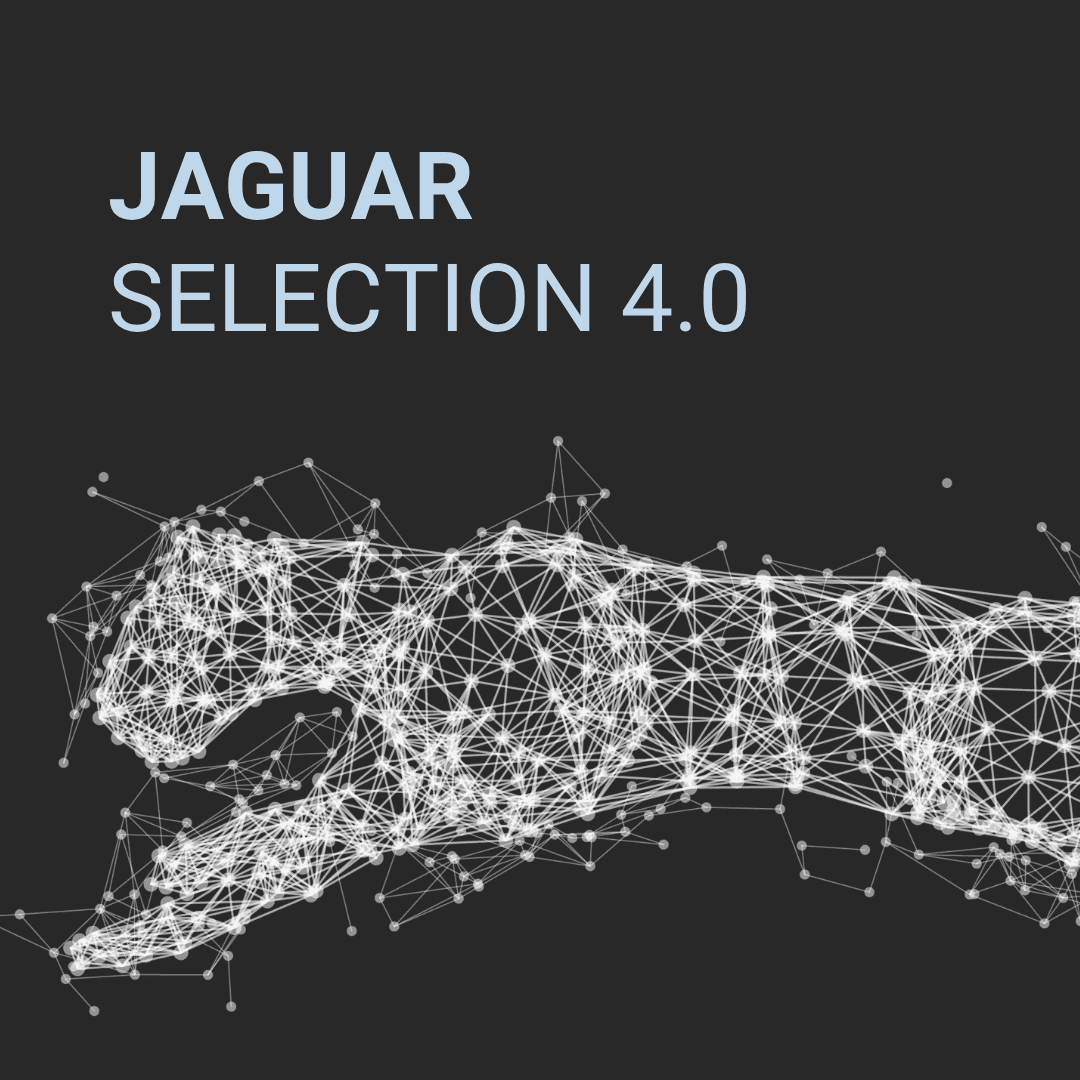 Scopri Jaguar Selection 4.0, il servizio di consegna rapida di Punto Persiane per i rivenditori italiani. Oscuranti in alluminio in 4-6 settimane e zero extra costi sui microlotti.